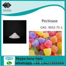 Pectinase China CAS: 9032-75-1 Factory Supply Food Grade Pectinase